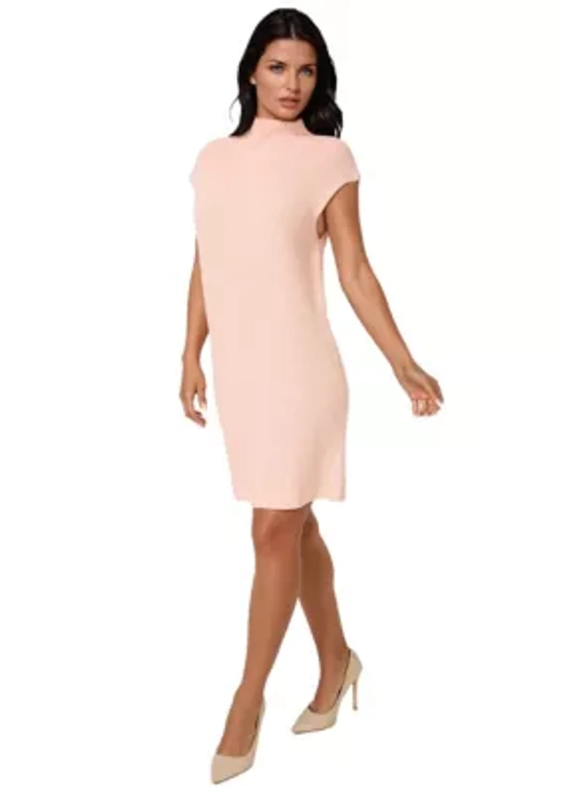Funnel Neck Sweater Mini Dress