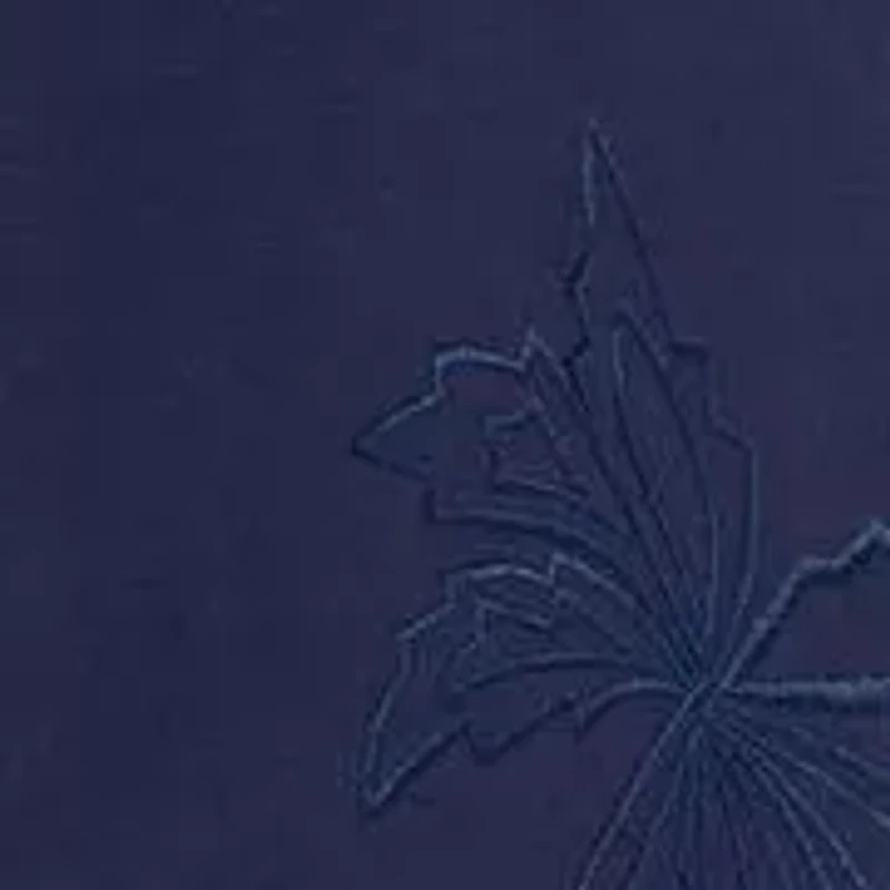 POPLIN BUTTON DWN W EMBROIDERY