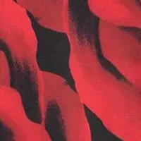 PRINT FLOUNCE HEM DRESS