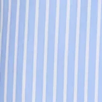 Women's Sleeveless V-Neck Stripe Print Tie Waist A-Line Dress