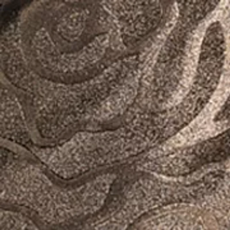 Women's Velvet Sleeveless Dress with Gold Appliqué