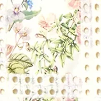 Women's Long Sleeve Embroidered Mini Dress