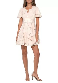 Women's Lace A-Line Dress