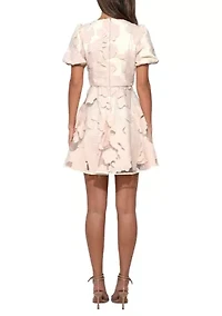 Women's Lace A-Line Dress