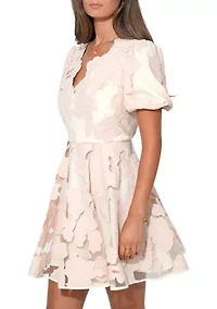 Women's Lace A-Line Dress