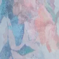 Women's Merida Sleeveless Floral Print A-Line Gown