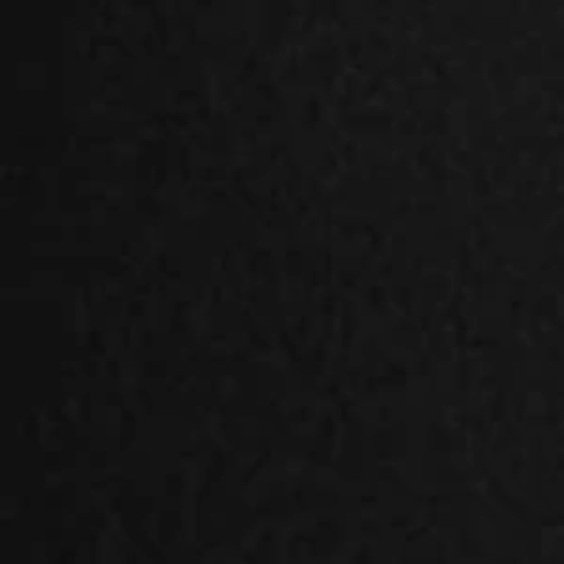 Women's Sheer Bolero