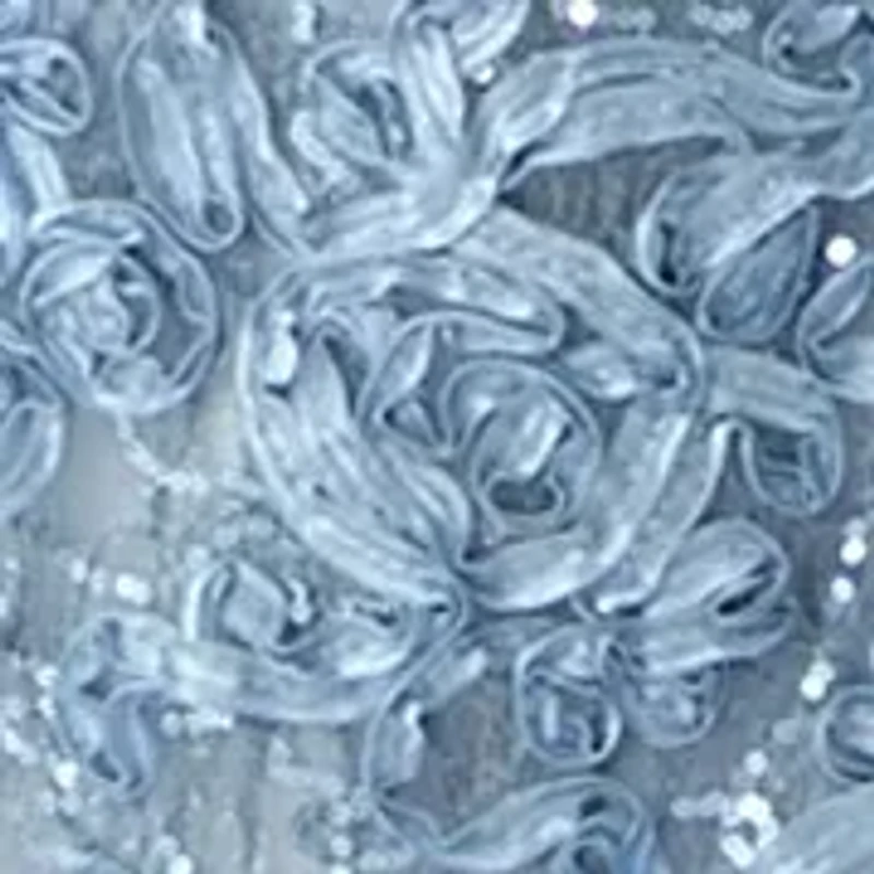Women's Lace Gown