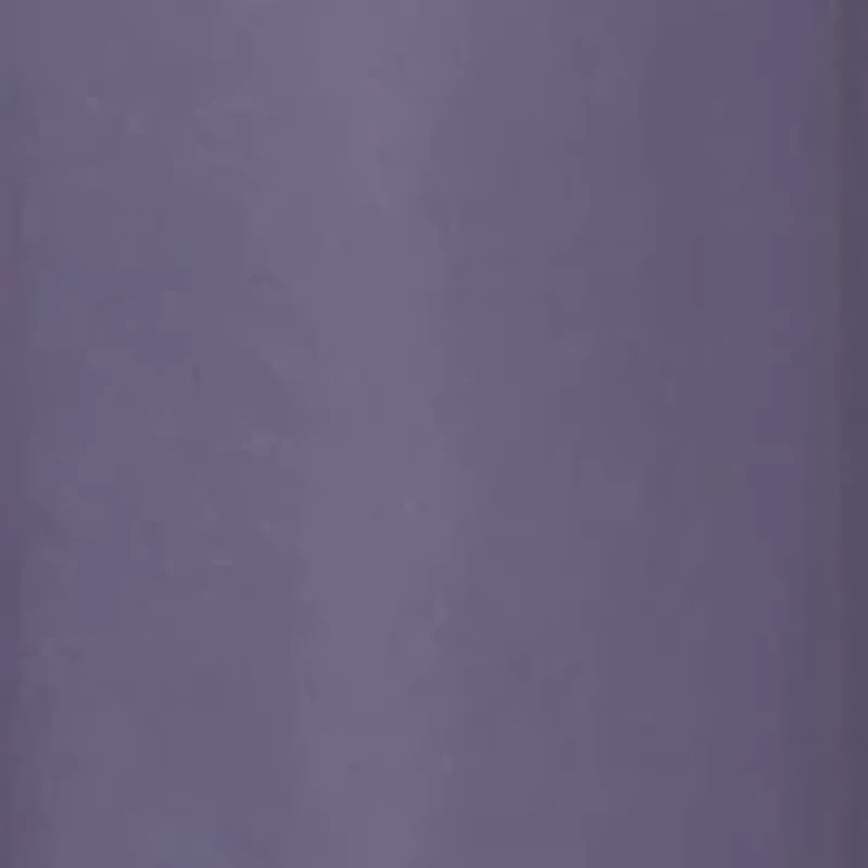Women's Short Sleeve Embroidered Pleated A-Line Gown