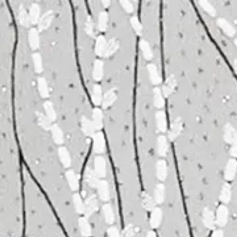 Printed Mandarin Neck Twinset