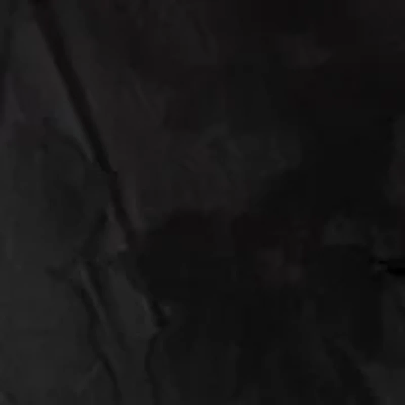 Women's 3/4 Sleeve Button Front Burnout Organza Blouse