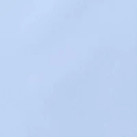 Women's Solid Chiffon Skirt