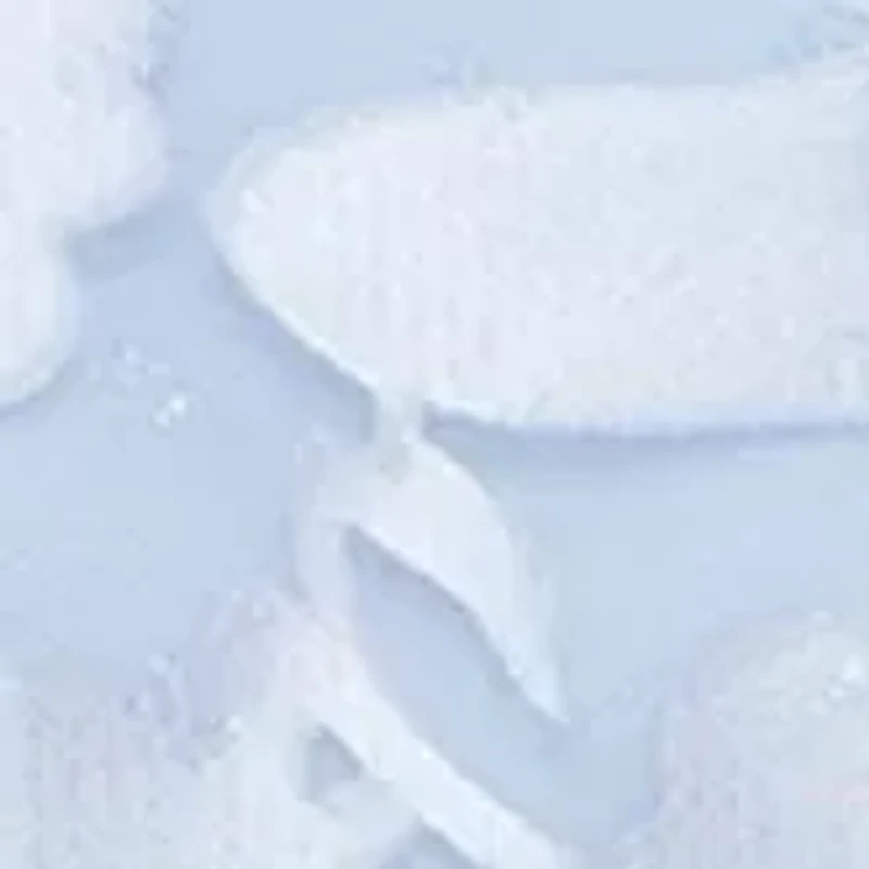 3/4 Sleeve Printed Mandarin Neck Twinset