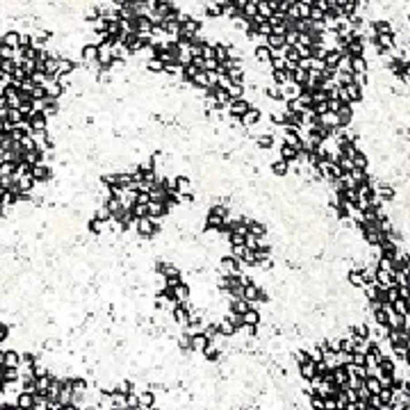 Women's 3/4 Sleeve Patterned Sequin Mock Twinset