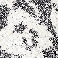 Women's 3/4 Sleeve Patterned Sequin Mock Twinset