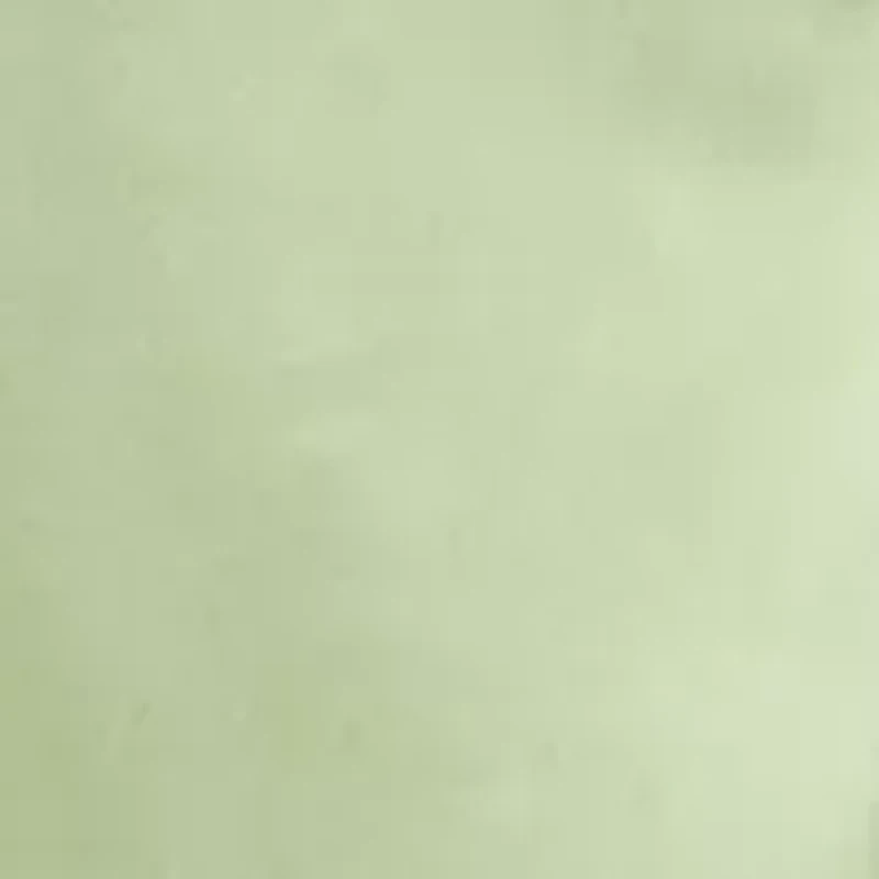 Women's Sleeveless Cowl Neck Solid Satin Gown