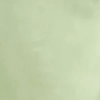 Women's Sleeveless Cowl Neck Solid Satin Gown