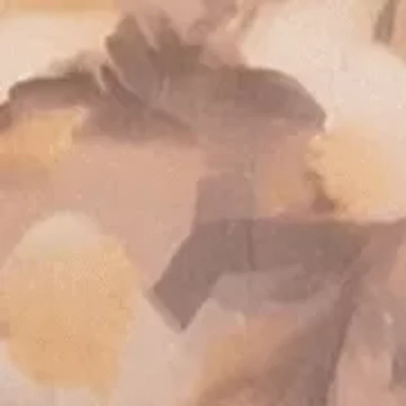 Sleeveless Ruched Dress