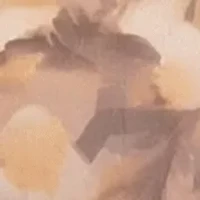 Sleeveless Ruched Dress