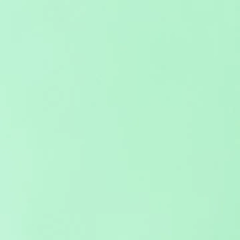 Women's Long Sleeve Off the Shoulder Bow Top