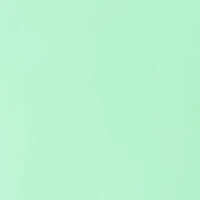 Women's Long Sleeve Off the Shoulder Bow Top