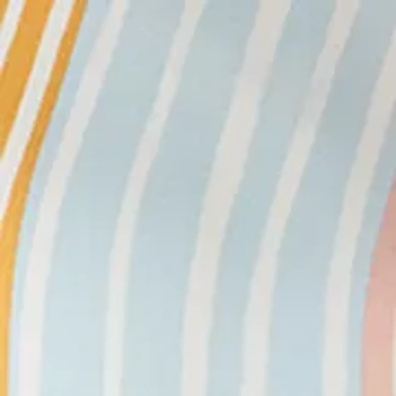 Women's Long Sleeve Button Front Striped Blouse