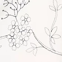 Women's Wide Leg Pants