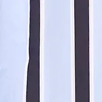 Women's Striped A-Line Skirt