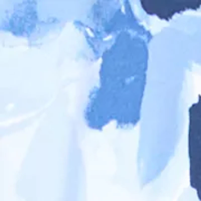 Women's Dolman Sleeves Top