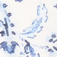 Women's Off The Shoulder Cha Sleeve Paisley Blouse