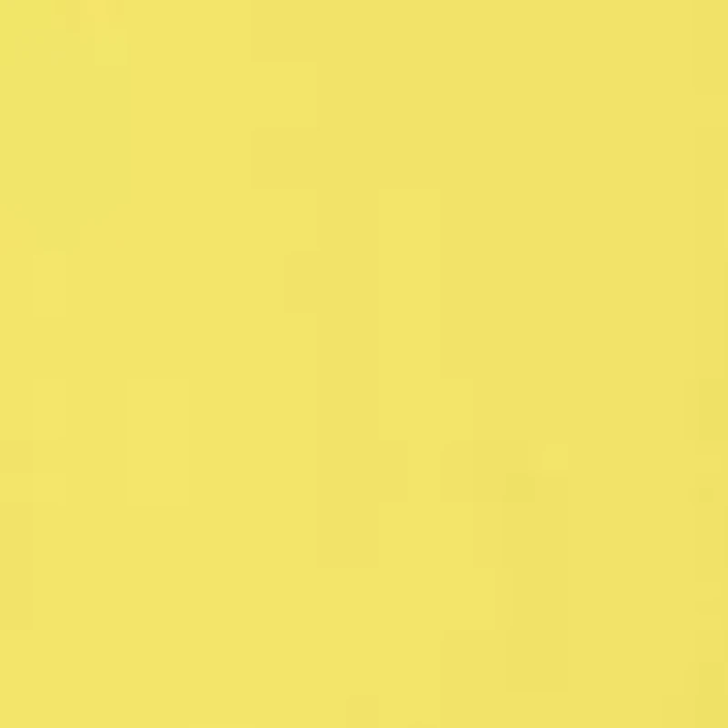 Women's Paneled Challis Tank Dress