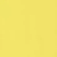 Women's Paneled Challis Tank Dress