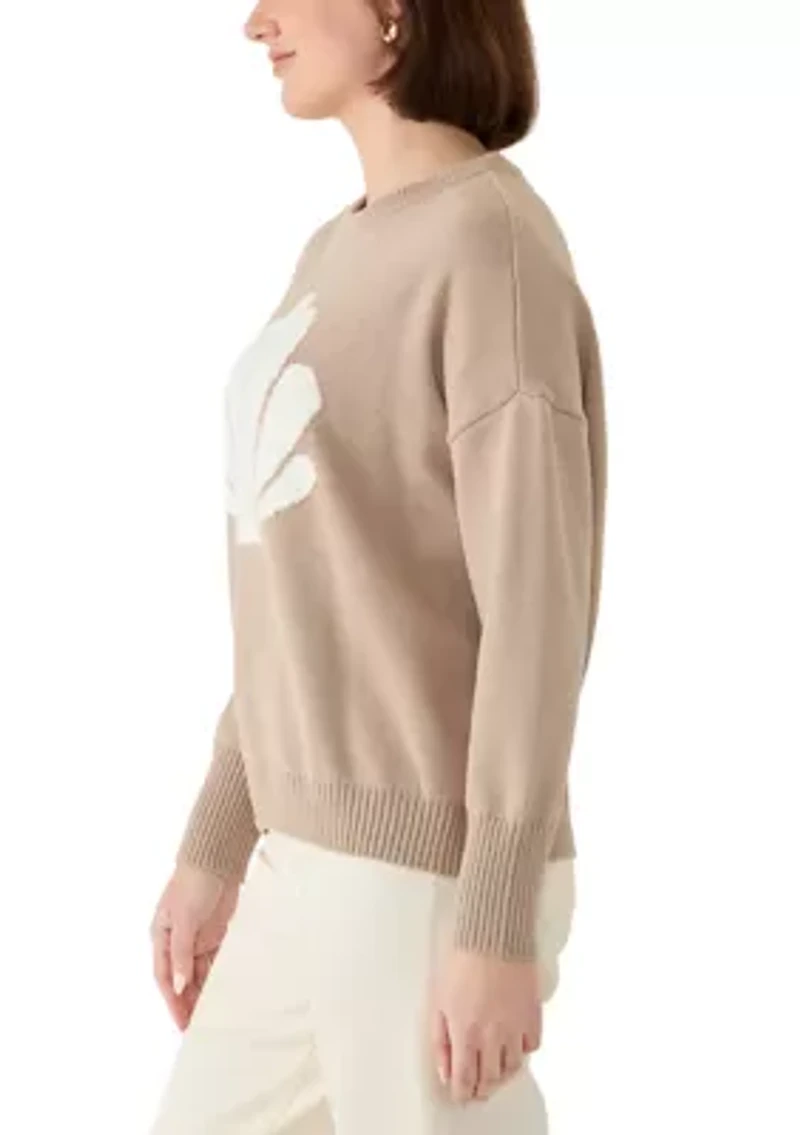 Women's Sea Shell Sweater