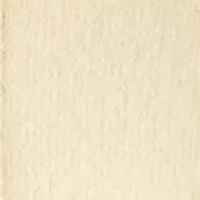 Women's Dolman Sleeve Crew Neck Sweater