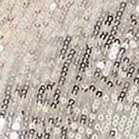 Women's Short Sleeve V-Neck Sequin T-Shirt