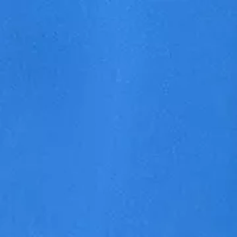 Women's Long Sleeve Satin Shirt