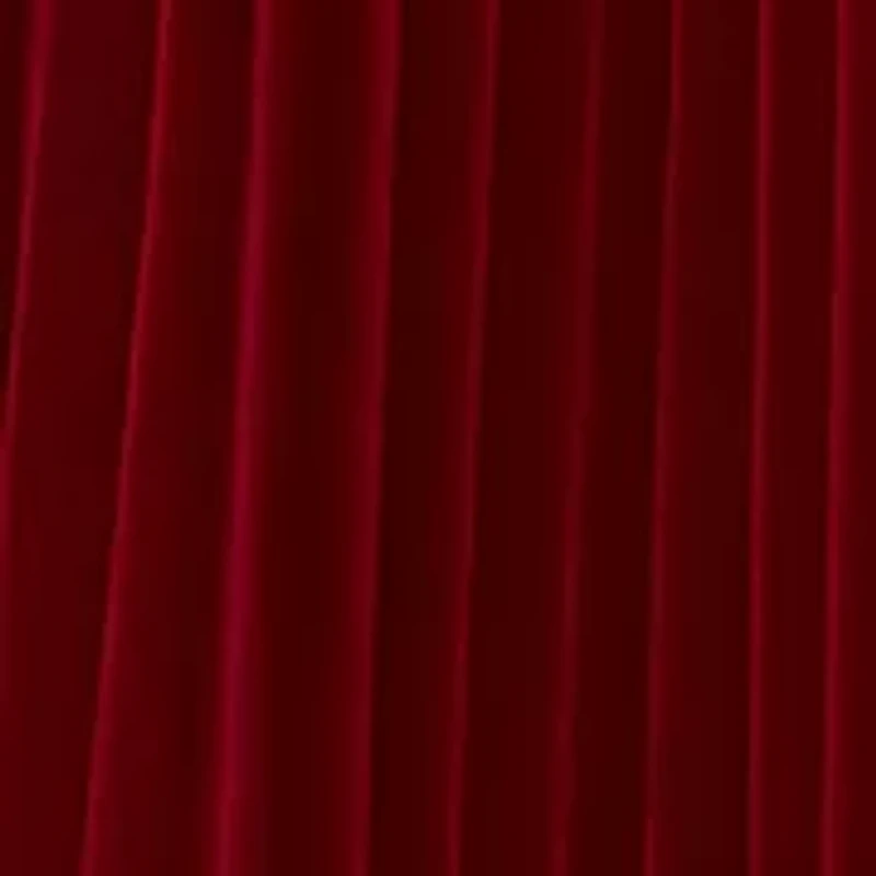 Women's Tulle Pleated Midi Skirt