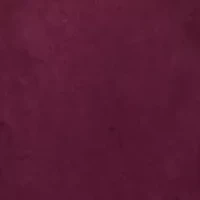 Women's Velour Zip Front Jacket