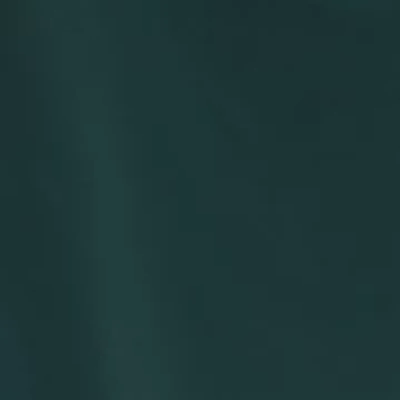 Women's Ruched Asymmetric Long Sleeve Dress