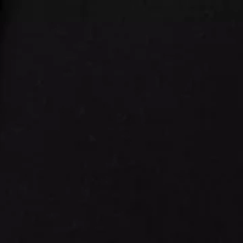 Women's Wide Leg Ponte Pants