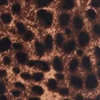 Women's Wide Leg Velour Pants