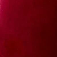 Women's Sequin Velvet Midi Skirt