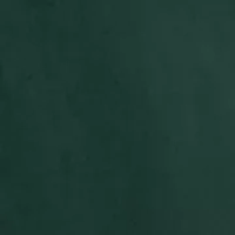 Women's Short Sleeve A-Line Vegan Suede Dress