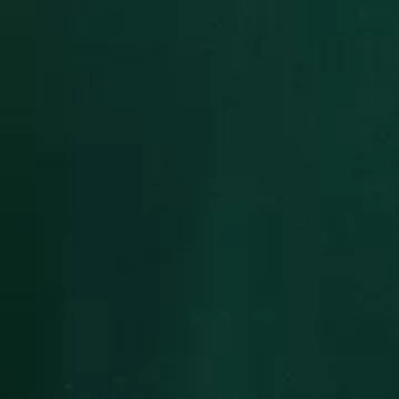 Women's Off the Shoulder Cha Sleeve Blouse