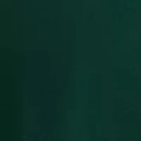 Women's Off the Shoulder Cha Sleeve Blouse