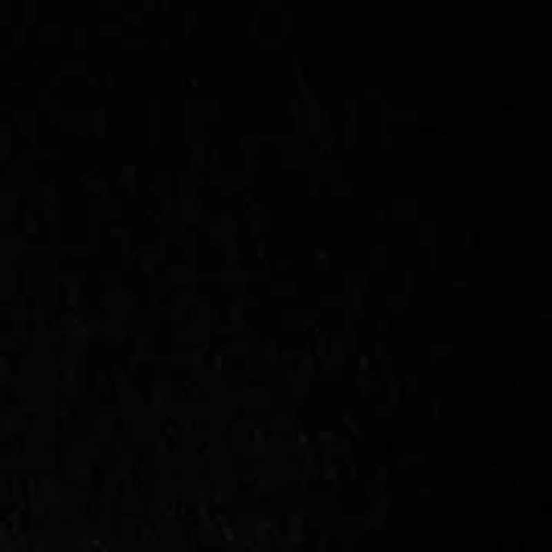 Women's Wide Leg Athletic Pants