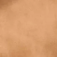 Women's Zip Front Hoodie