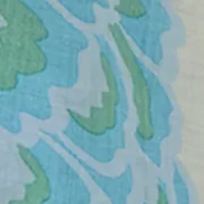 Plus Long Sleeve Sheer Button Down Shirt