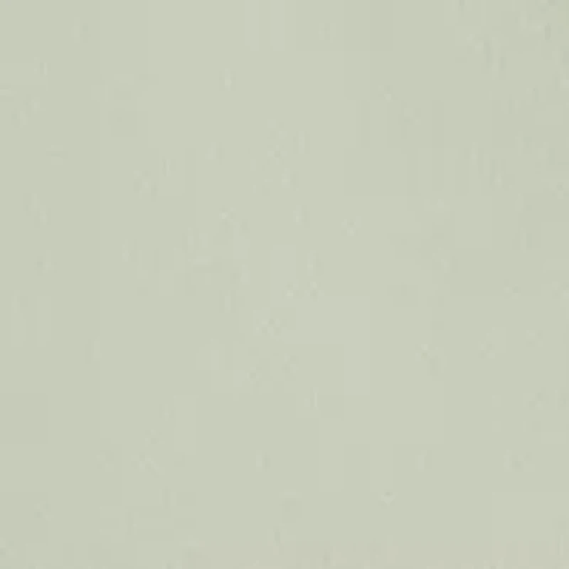 Plus Woven V-Neck Blouse