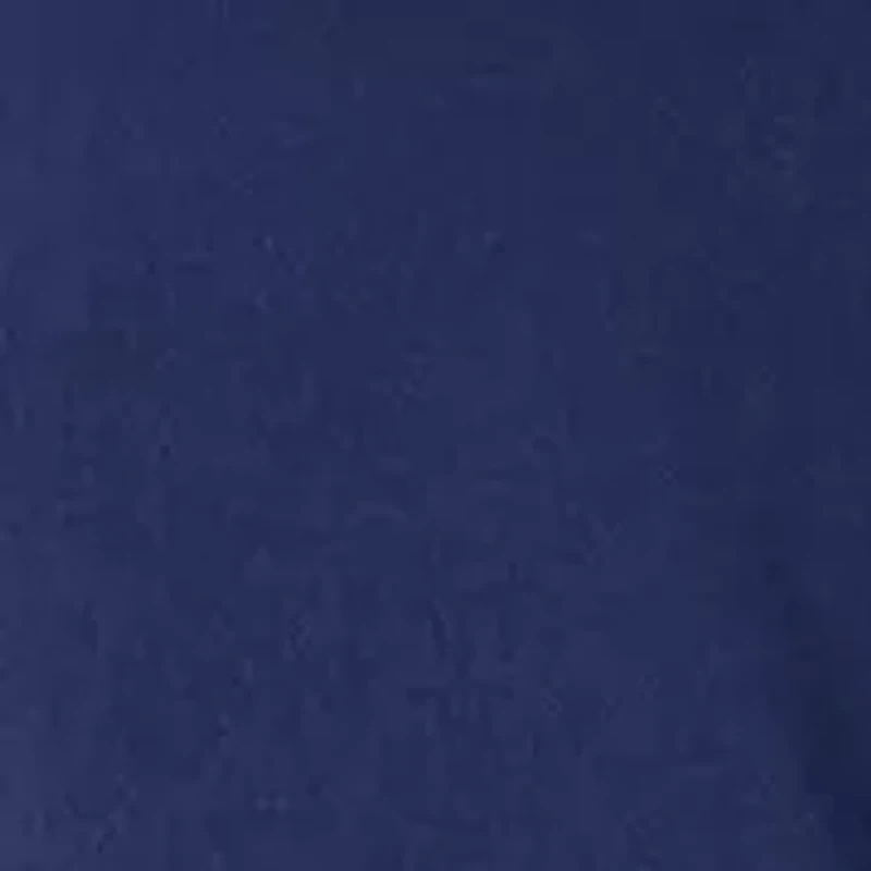 Petite V-Neck Flutter Sleeve Blouse